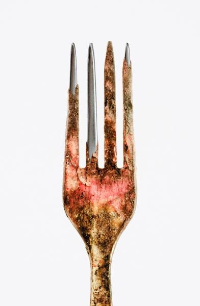 Photograph Jose Laino Fork on One Eyeland